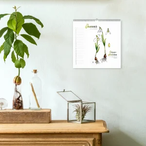 Geburtstagskalender Botanical Illustration