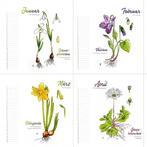 Geburtstagskalender Botanical Illustration