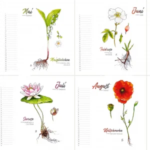 Geburtstagskalender Botanical Illustration